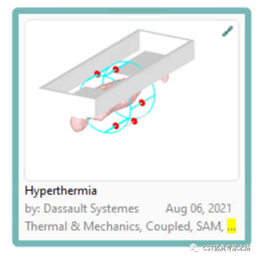 CST仿真實(shí)例：熱療Hyperthermia -生物模型，血液對(duì)